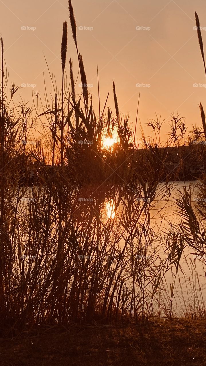 Early Evening pic enormous clarity and color. Powerful sunbeams thick bright full of energy. 