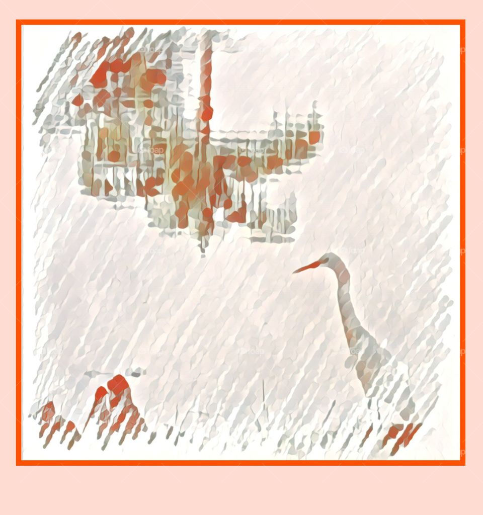 Ibis