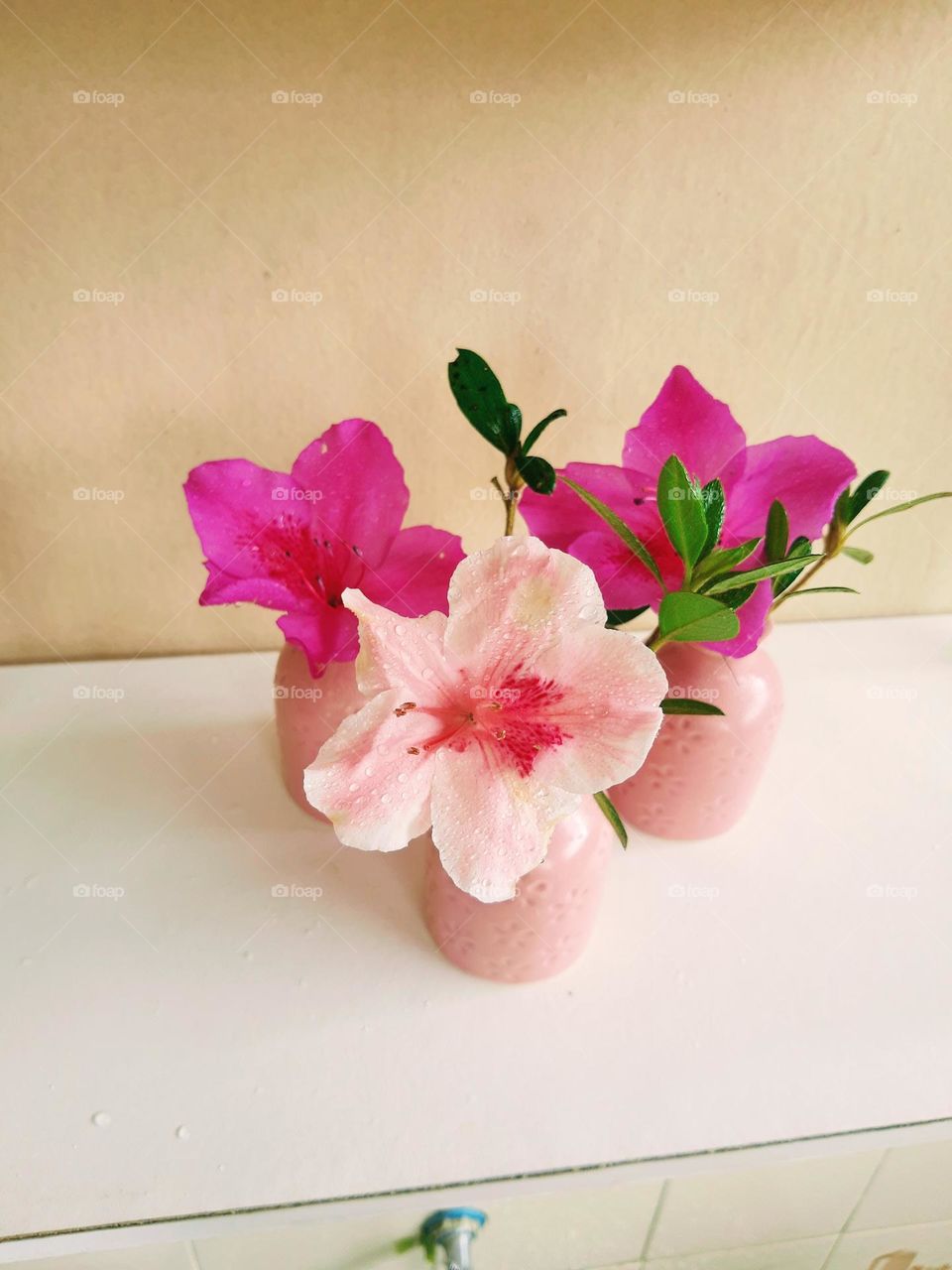 azaleas in small vases