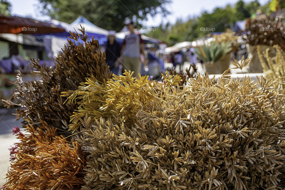 The dry grass for decoration in market.