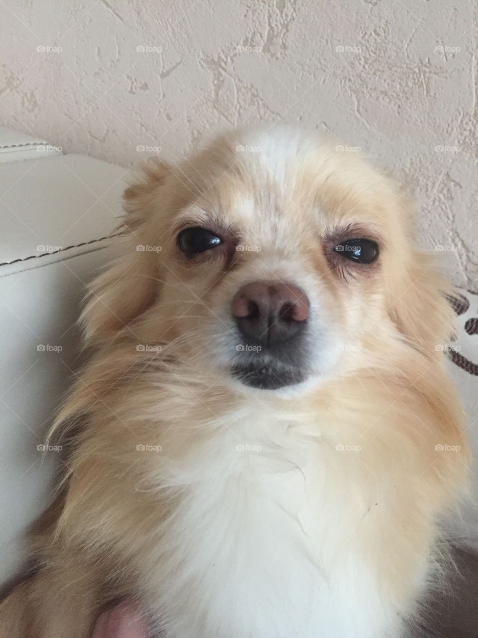 Есть серьёзный разговор 😁