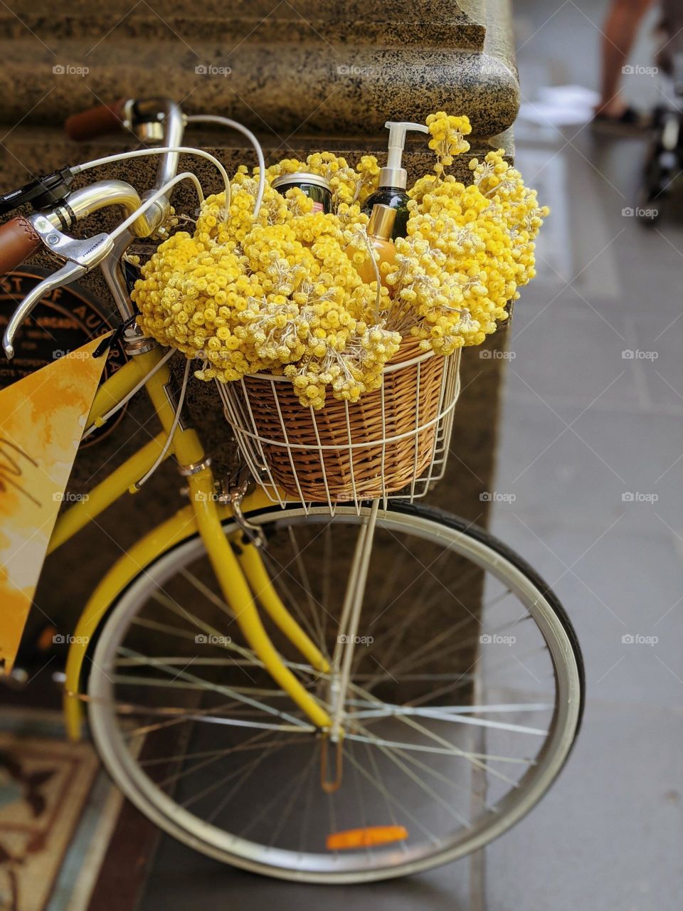 Roses in a basket carried by a bicycle