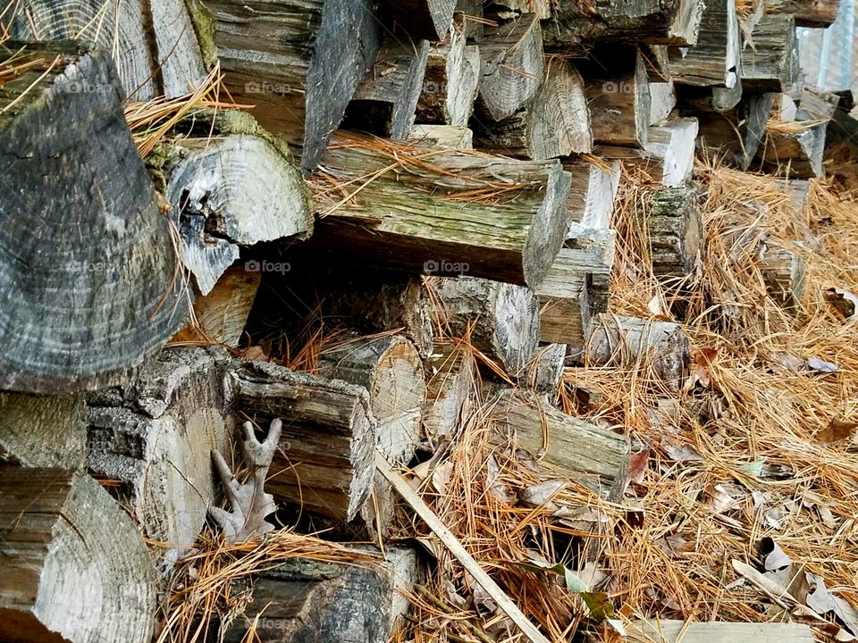 Wood pile