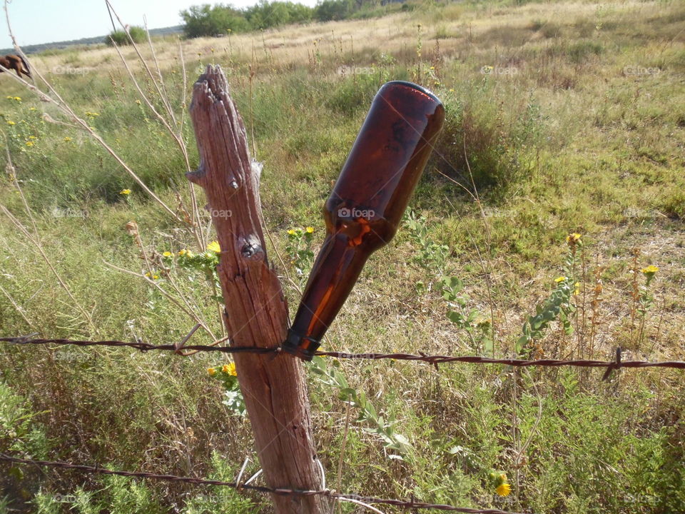 have a drink on me. This is a picture I took of a Texas free beer 🍻. 👣 🚶 🏃 🔥 💨