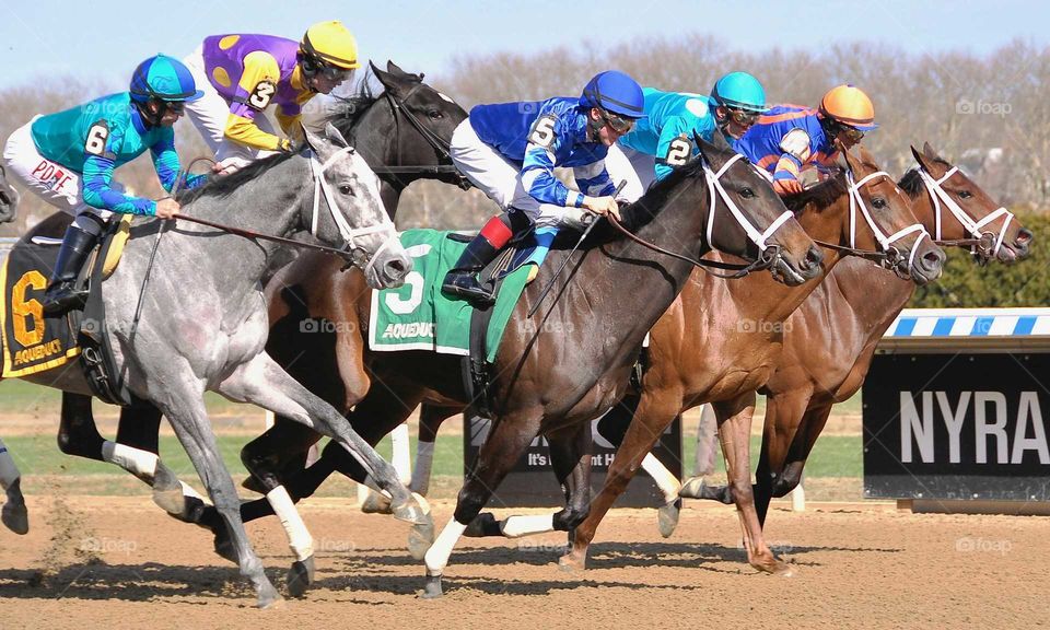 zazzle.com/fleetphoto at Aqueduct Racetrack.