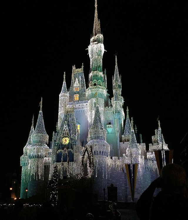 Disney Castle 