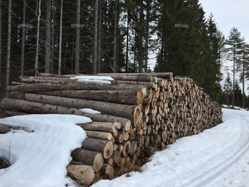 Logs and snow