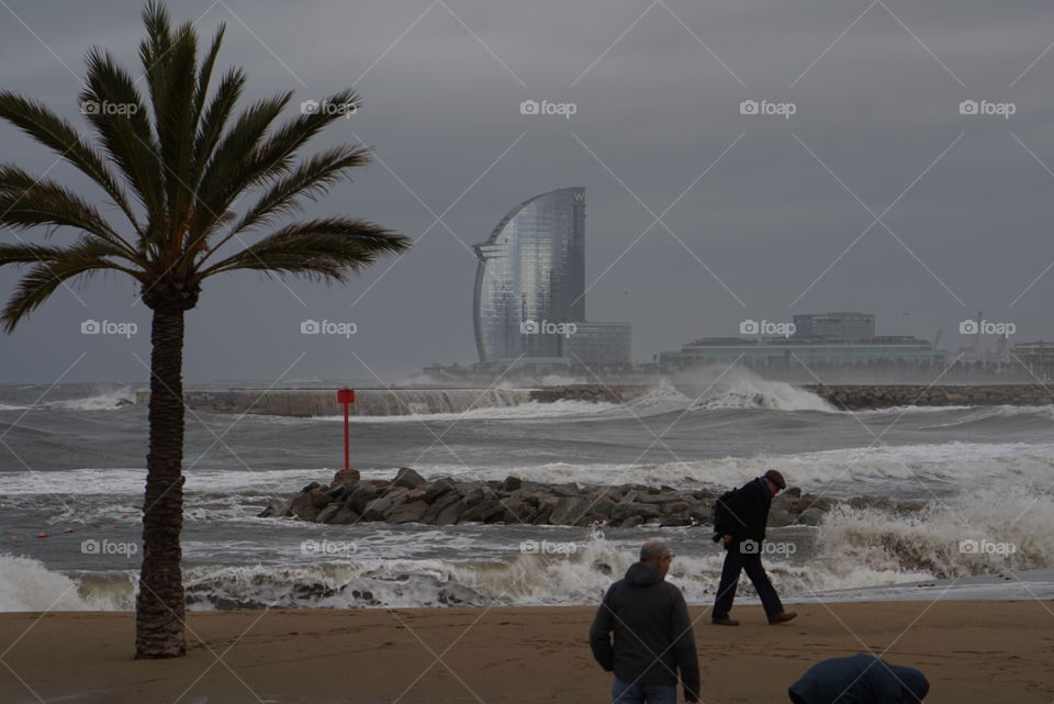 Mediterranean Winter