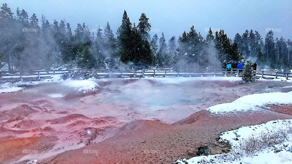 Yellowstone winter 