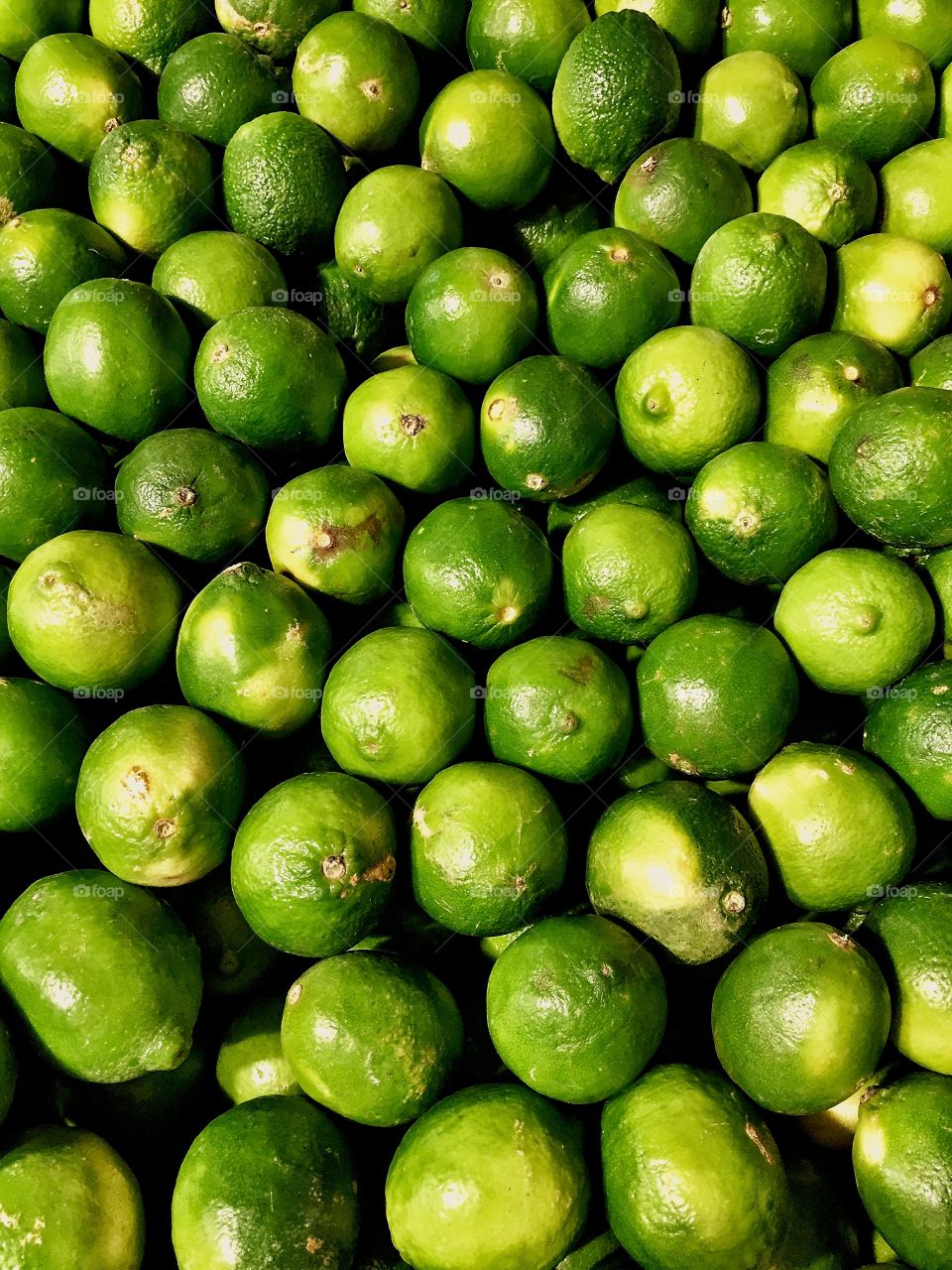 Full frame of lime