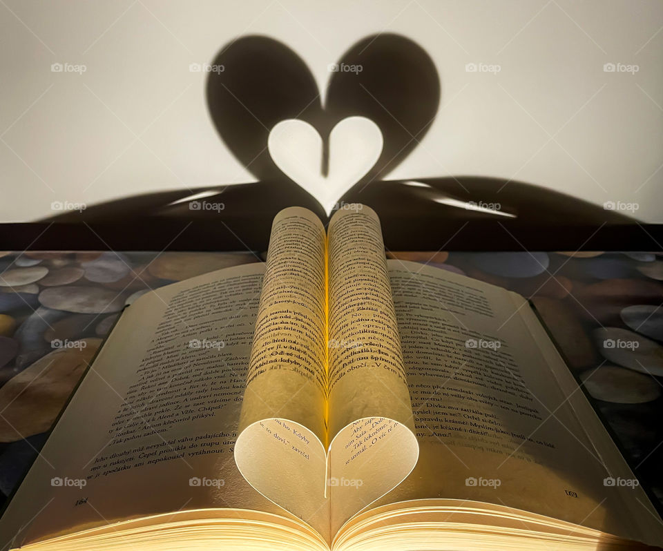 Book and hearth shadow for book lovers.