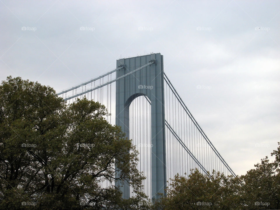 verrazano bridge trees bay ridge brooklyn new york by vincentm