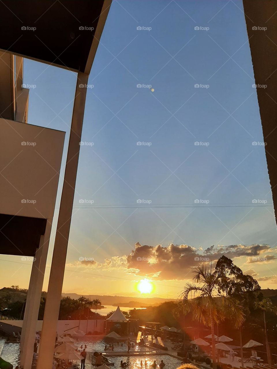 beautiful nature show