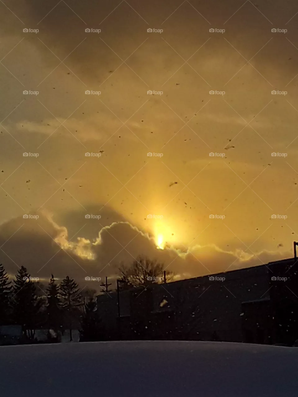 sun
