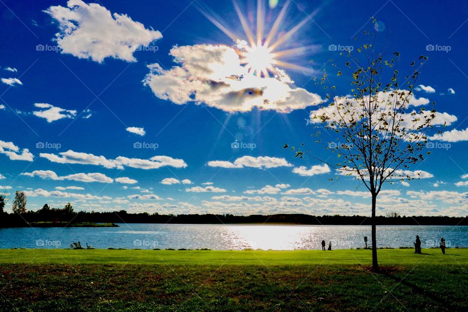 Stoney Creek - Pure Michigan