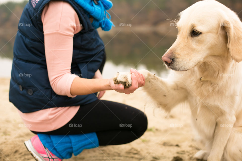 Close-up of a hand holding dog's paw