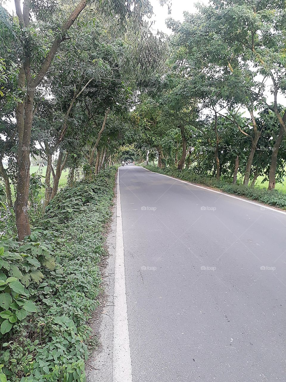 nice road in India in village