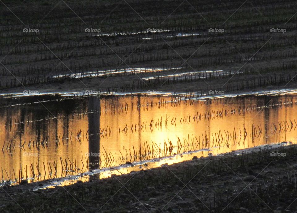 sunset reflected in water