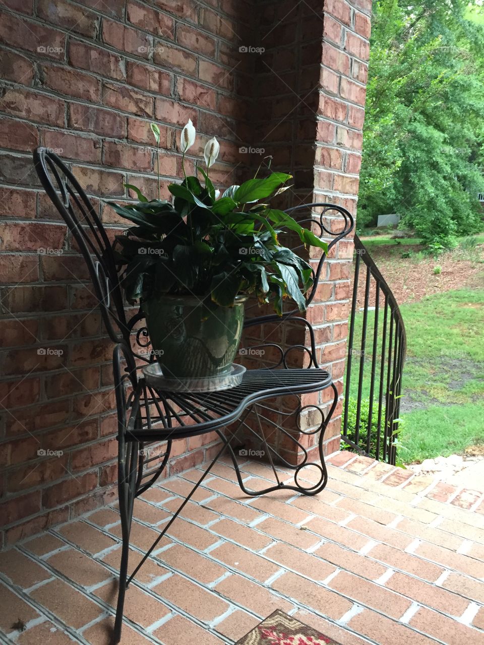 Peace plant on sought iron chair