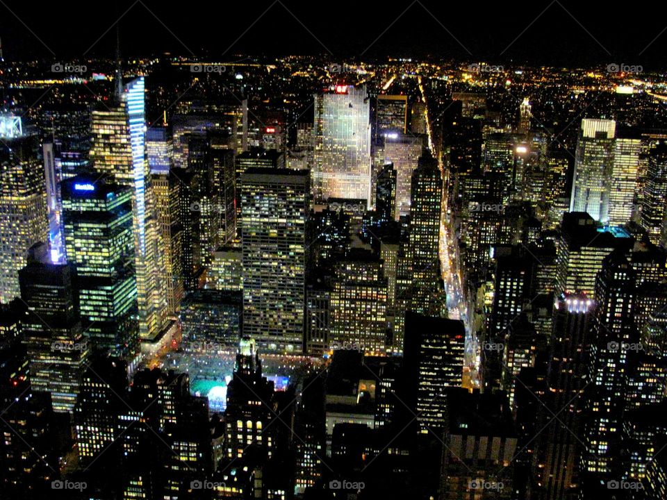 New York view from the Empire State Building 