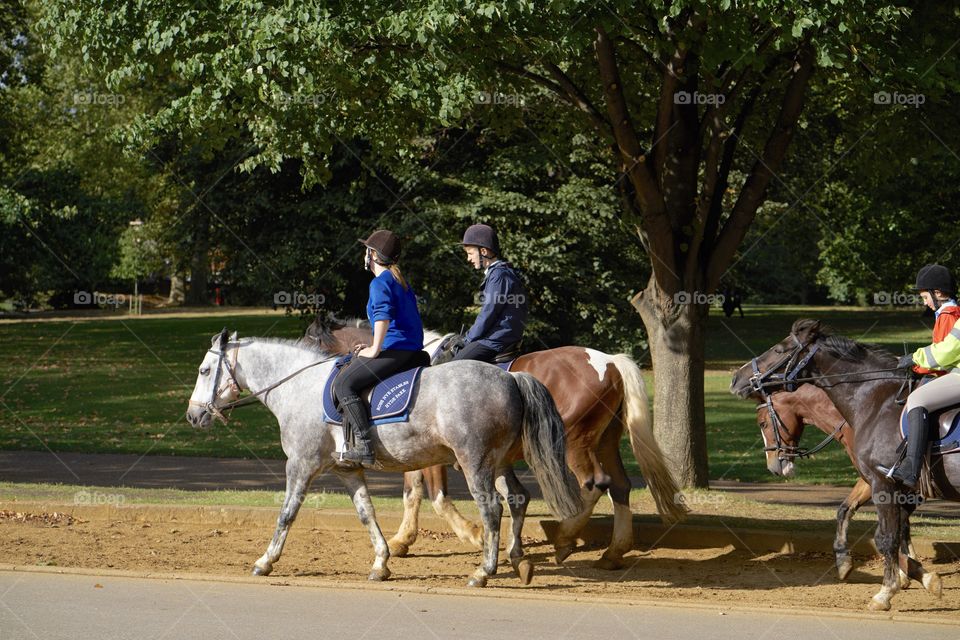 Hyde Park Riding