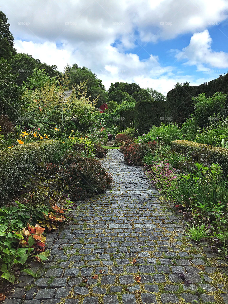 English country garden 