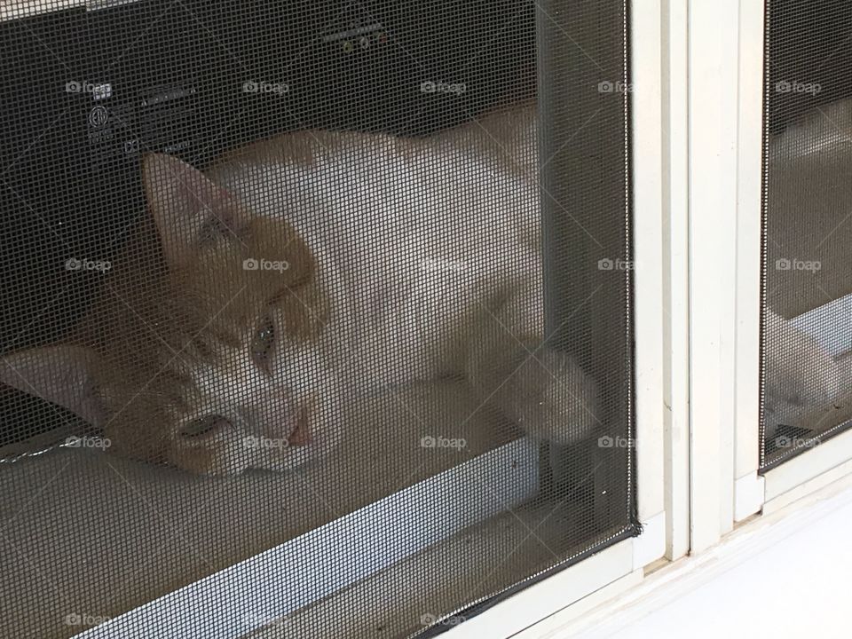 To lazy to go outside 