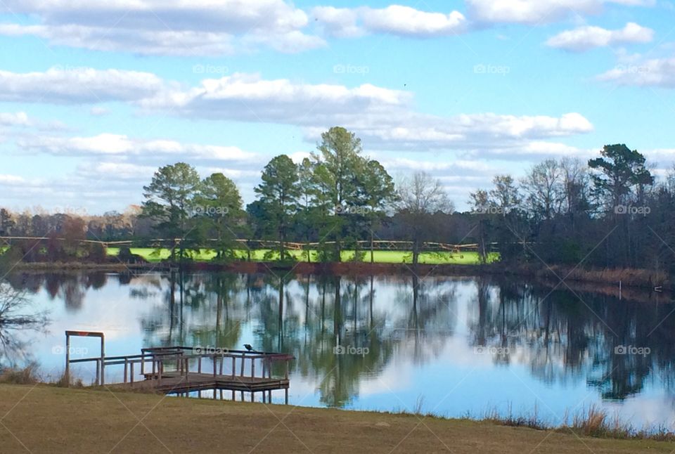 High angle view of pond