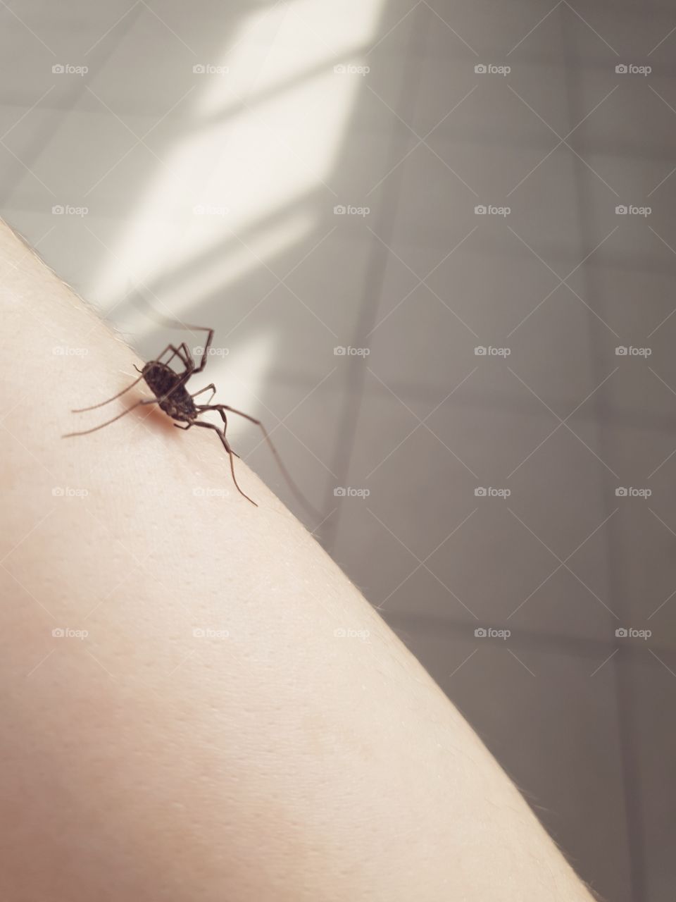 Друг из подполья