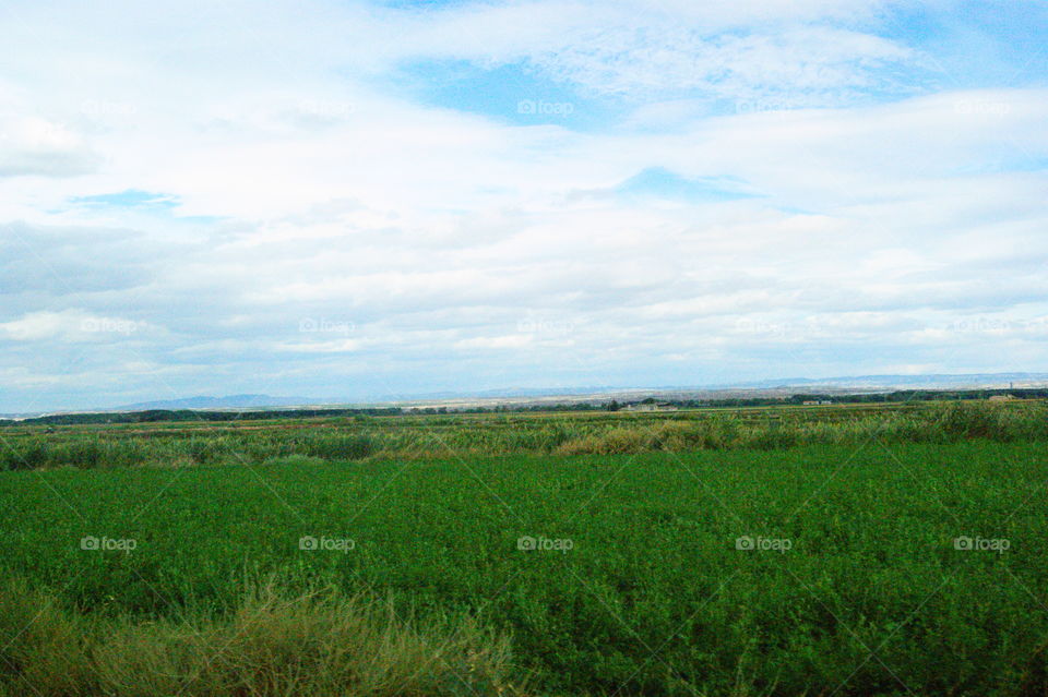 Aragón