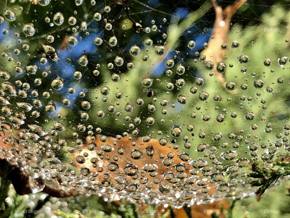 Drops macro 