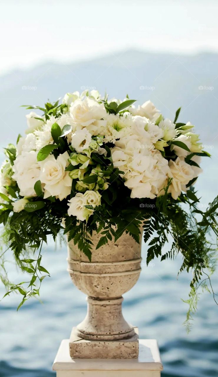 Flower pot all white flower bunch on pot looking so cute and amazing flower is life of part