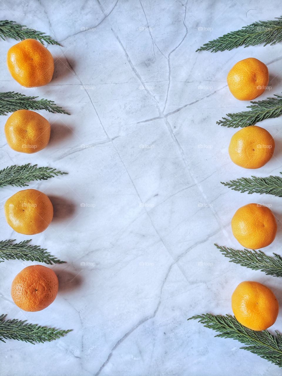 Background of the green spruce branches and orange fresh tangerines. Christmas flat lay. Top view.