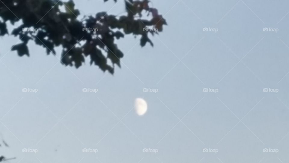 #Quarter #moon