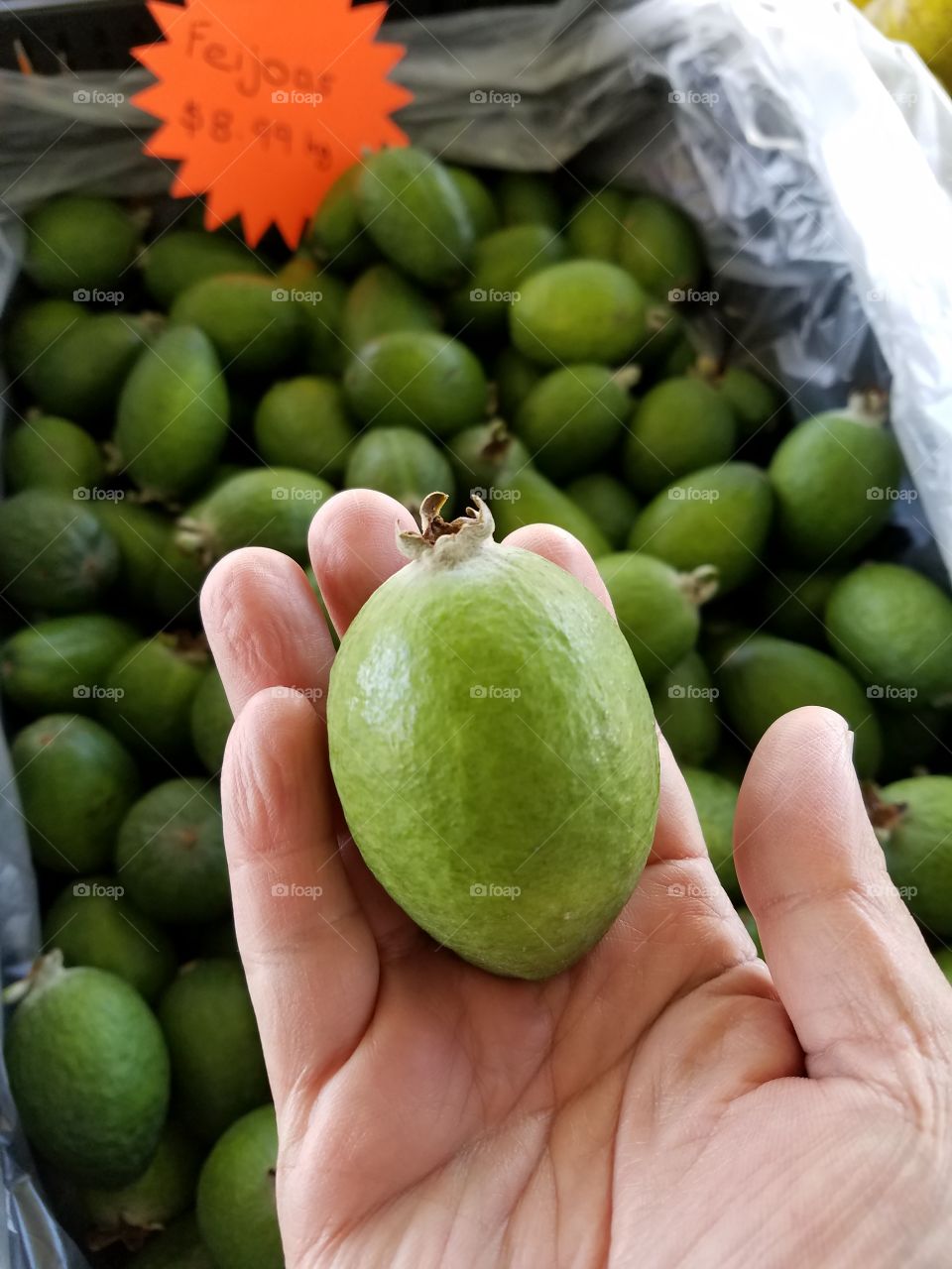 Hand holding green fruit