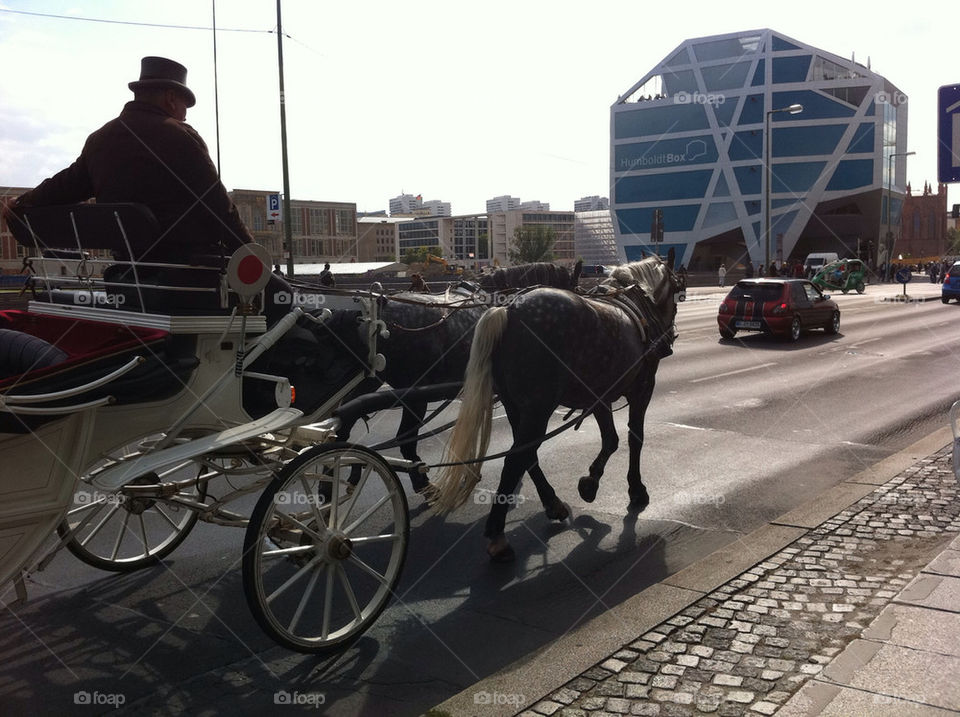 city horses travel berlin by hexoic