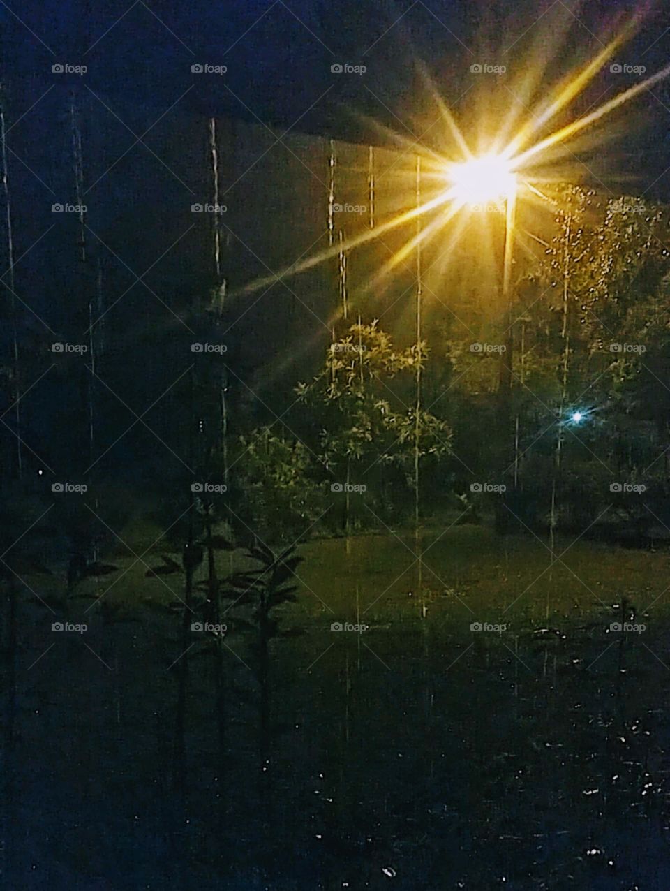 rainy night