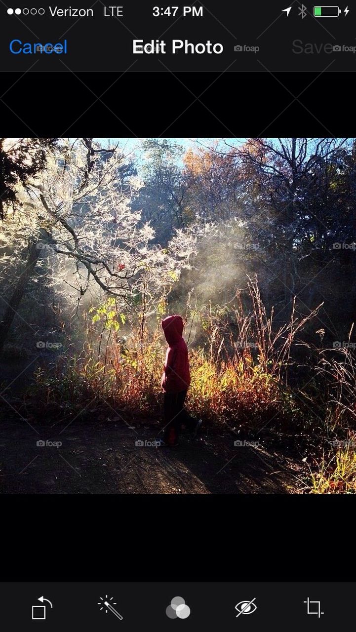 Little red riding hood