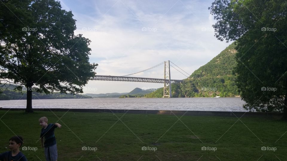 Landscape, Tree, Daylight, Water, Bridge