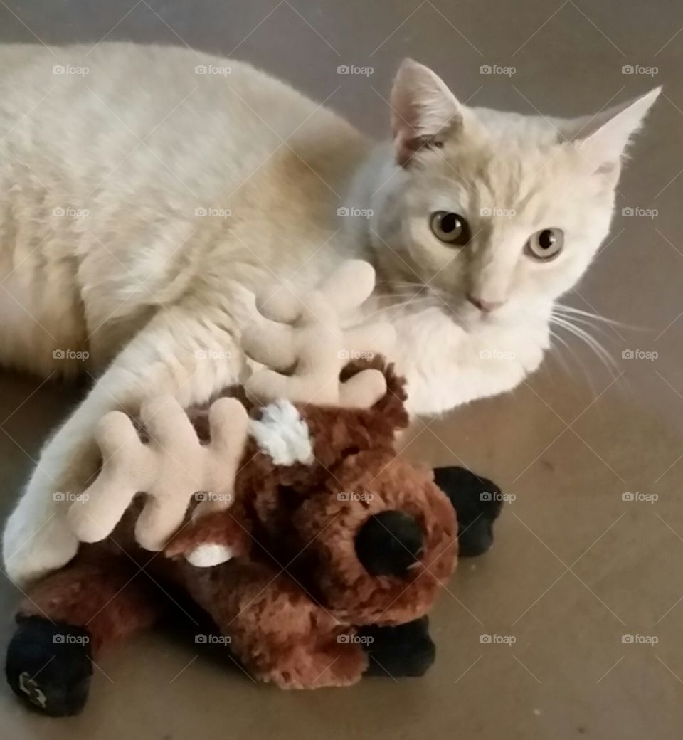 let me tell you about my best friend