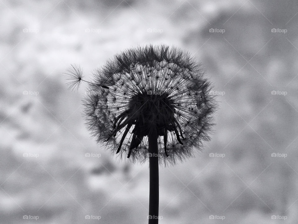 I WANT TO BREAK FREE