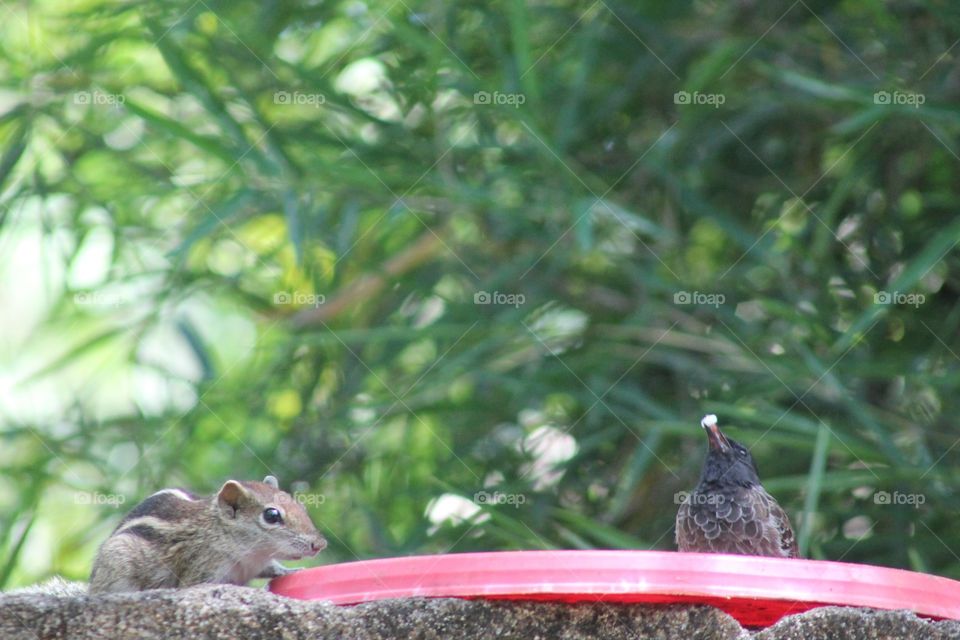 Editors' Choise: Photo of the Week