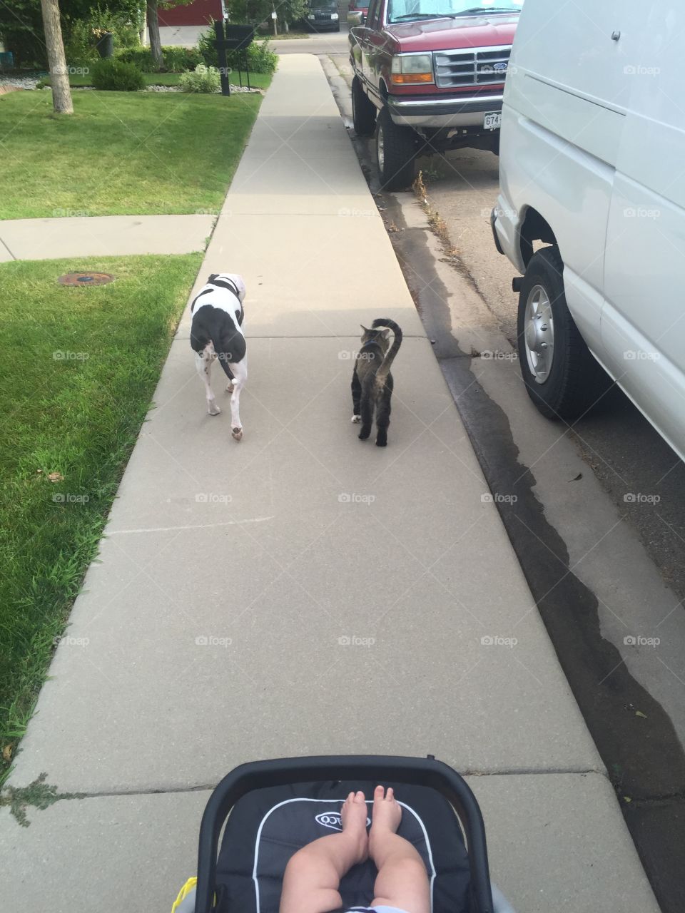 They do everything together