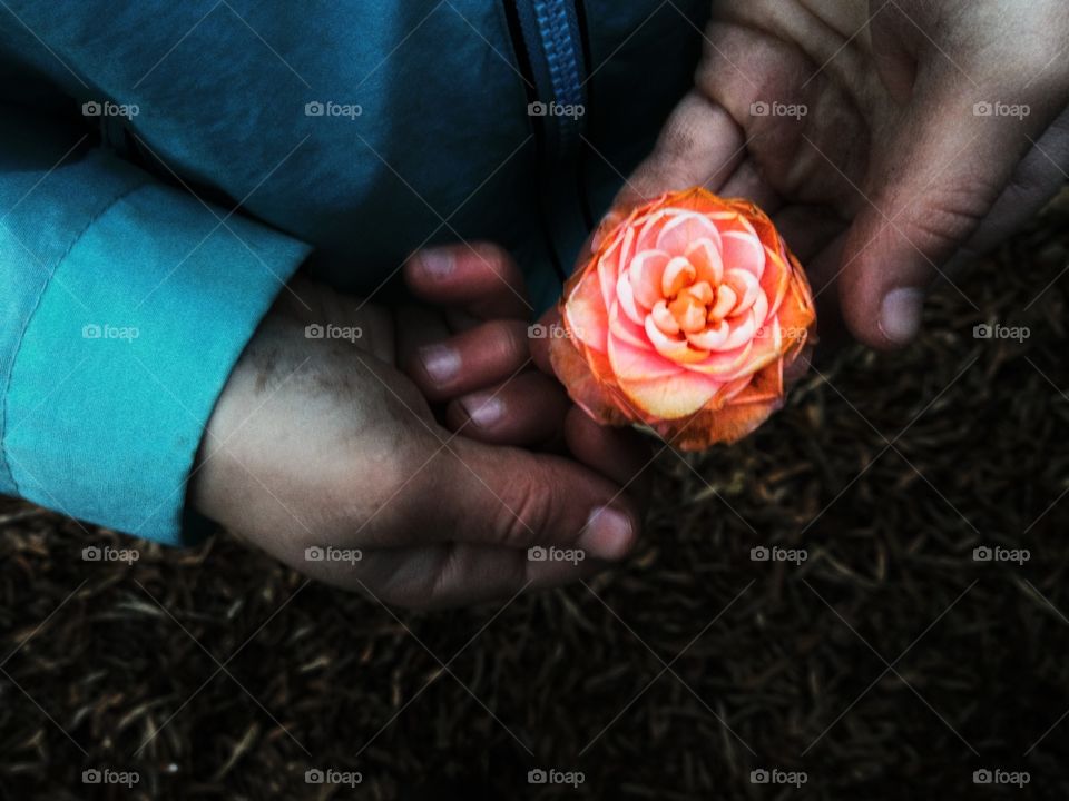 Child holding Flower