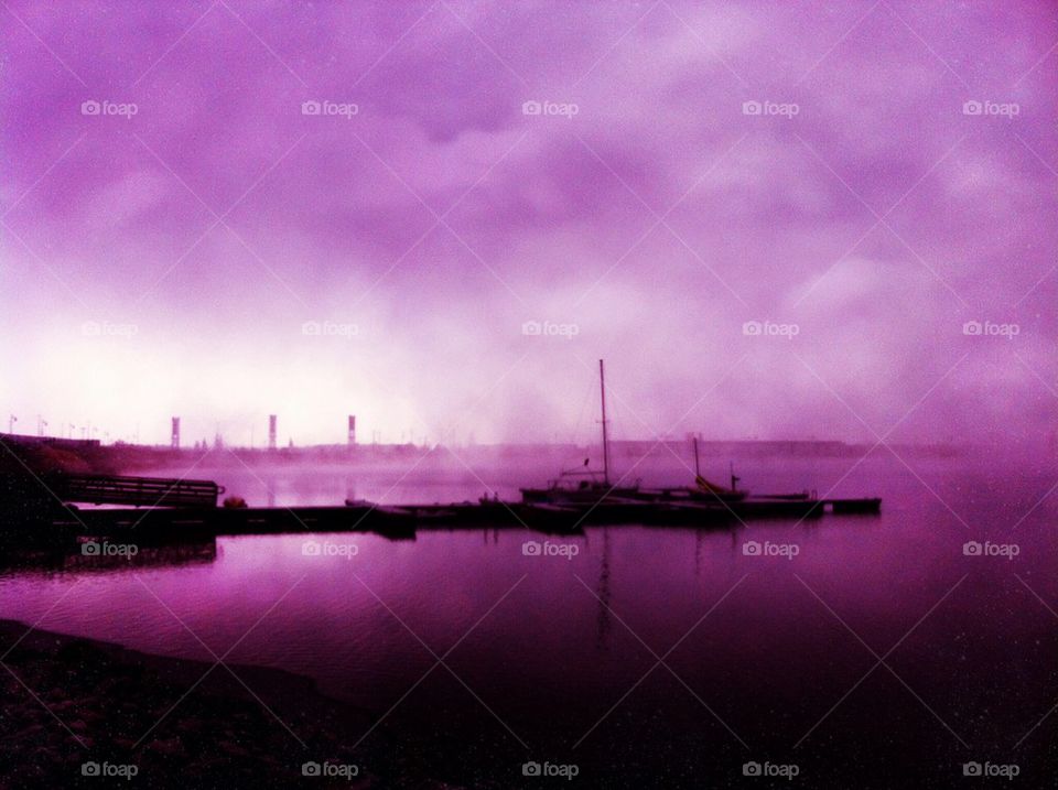 Purple Marina