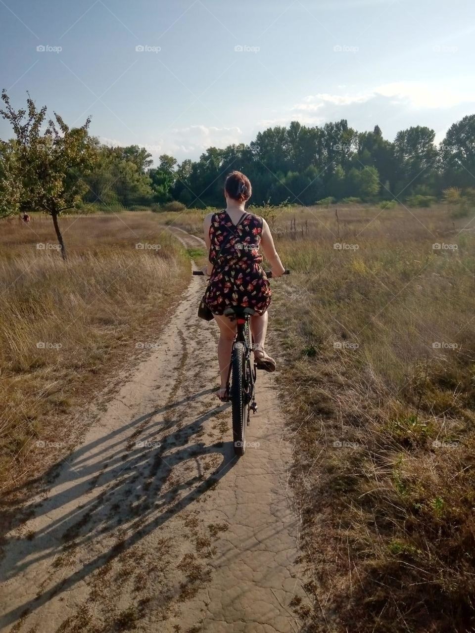 A bicycle ride on a field on a sunny summer day