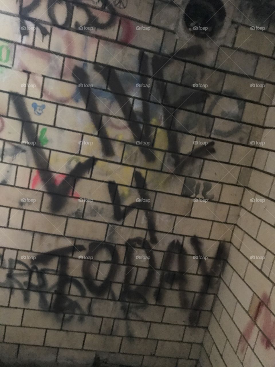 Graffiti in Fort Revere