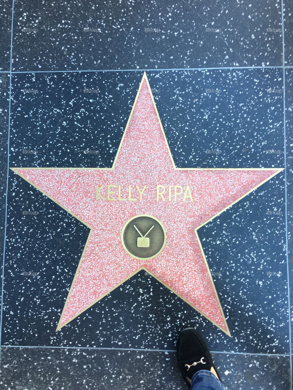 Hollywood star kelly rips
