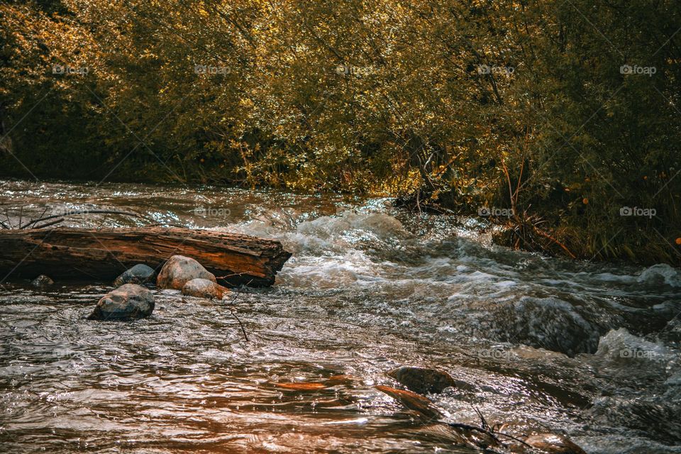 Colorful river caught in motion.
