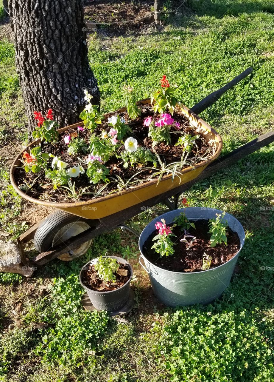 flowers in bloom in rustic planters for spring